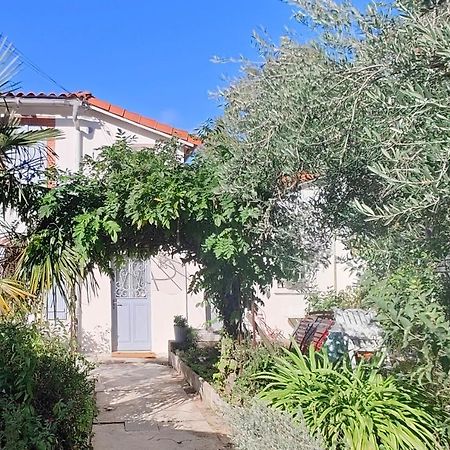 Studio Avec Jardin A 10 Mn A Pied Du Centre Ville Toulouse Kültér fotó